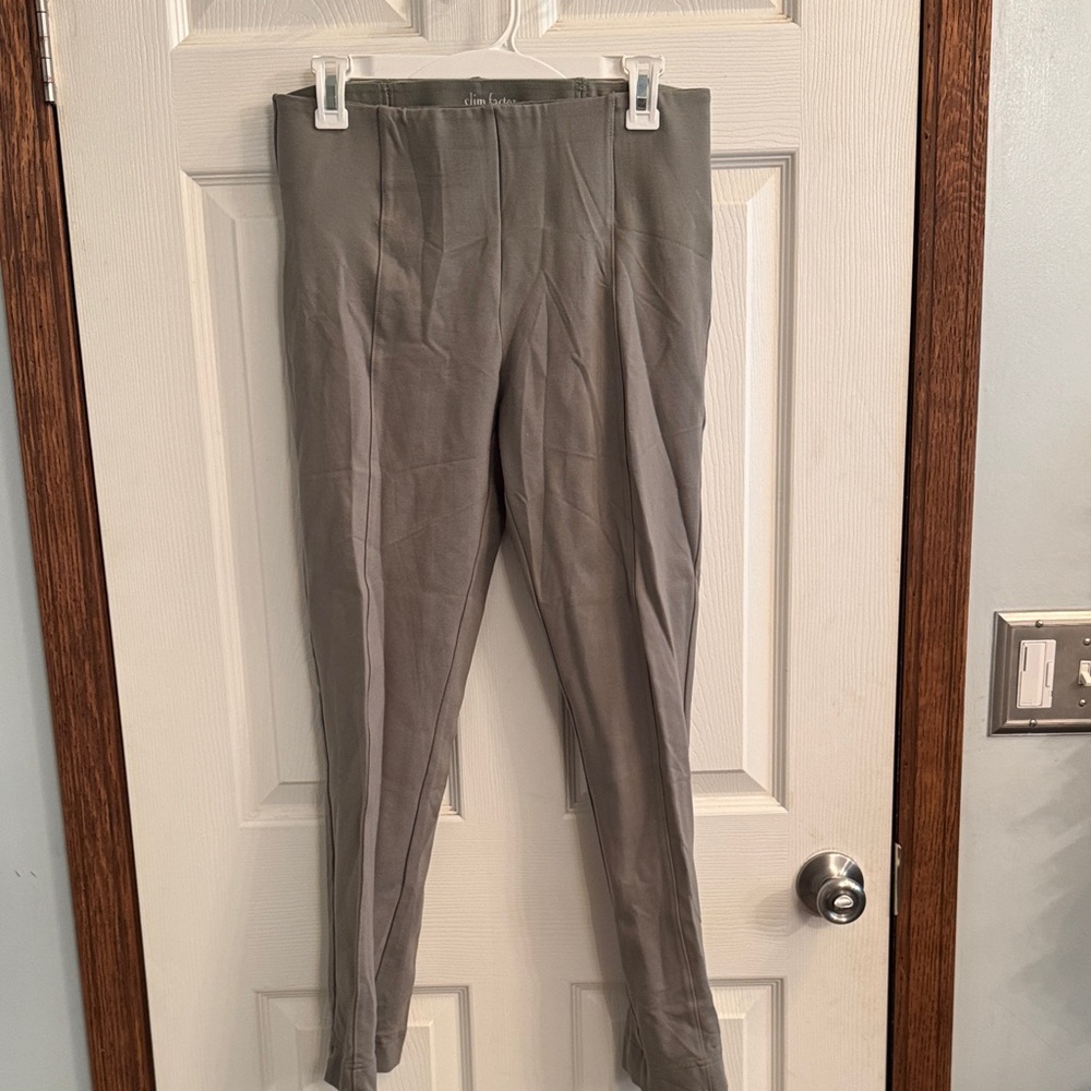 Investments Ponte Leggings in Green